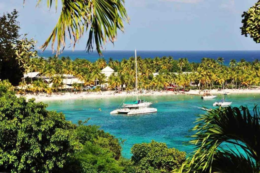 Le Sable Bleu - Evasion Tropicale A Sainte-Anne - Plage 5Min - Piscine - Parking - Logement Climatise - Vue Sur Les Palmiers - Parfait Pour Sejours En Famille Ou Entre Amis Exterior foto