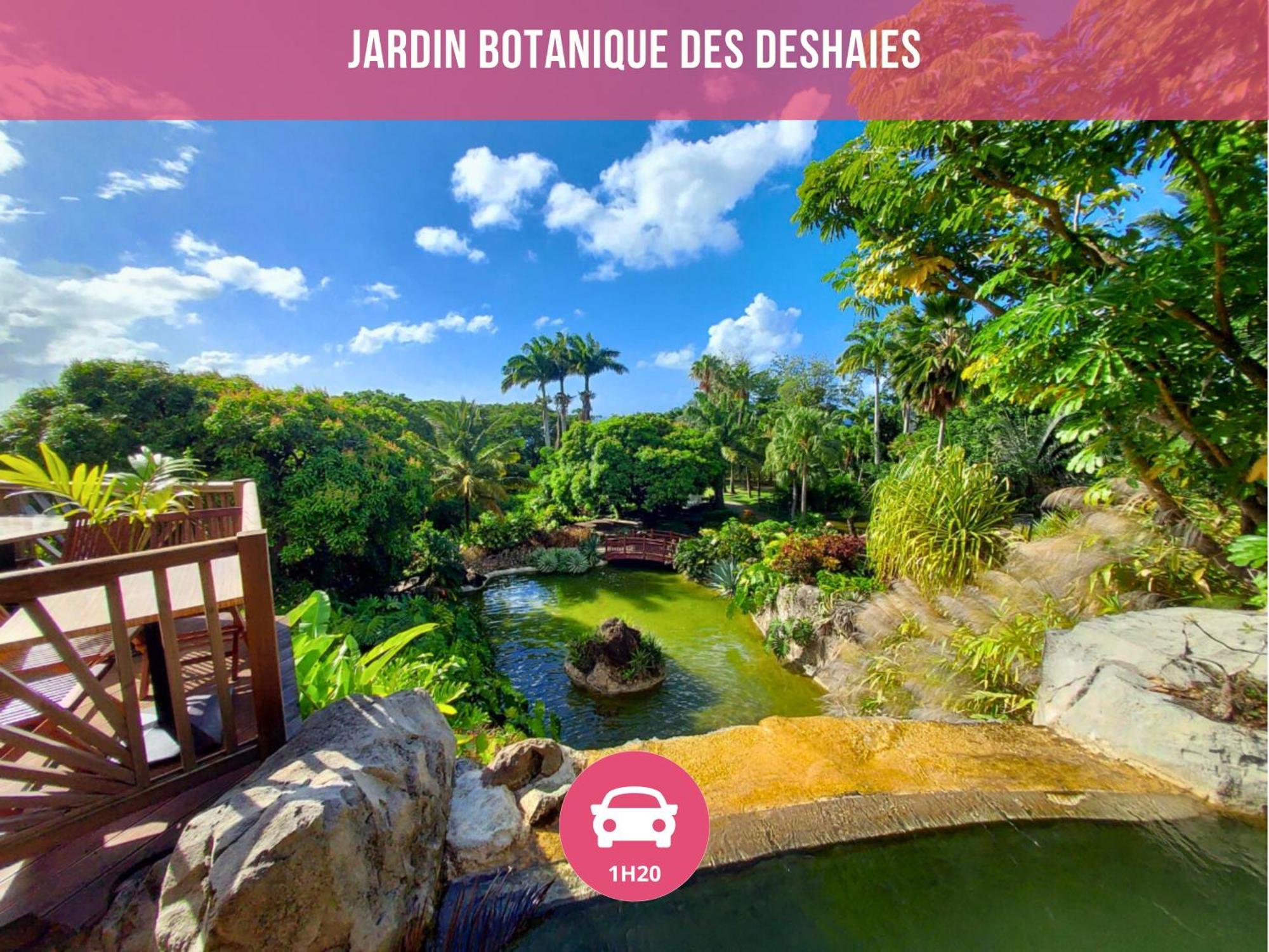 Le Sable Bleu - Evasion Tropicale A Sainte-Anne - Plage 5Min - Piscine - Parking - Logement Climatise - Vue Sur Les Palmiers - Parfait Pour Sejours En Famille Ou Entre Amis Exterior foto