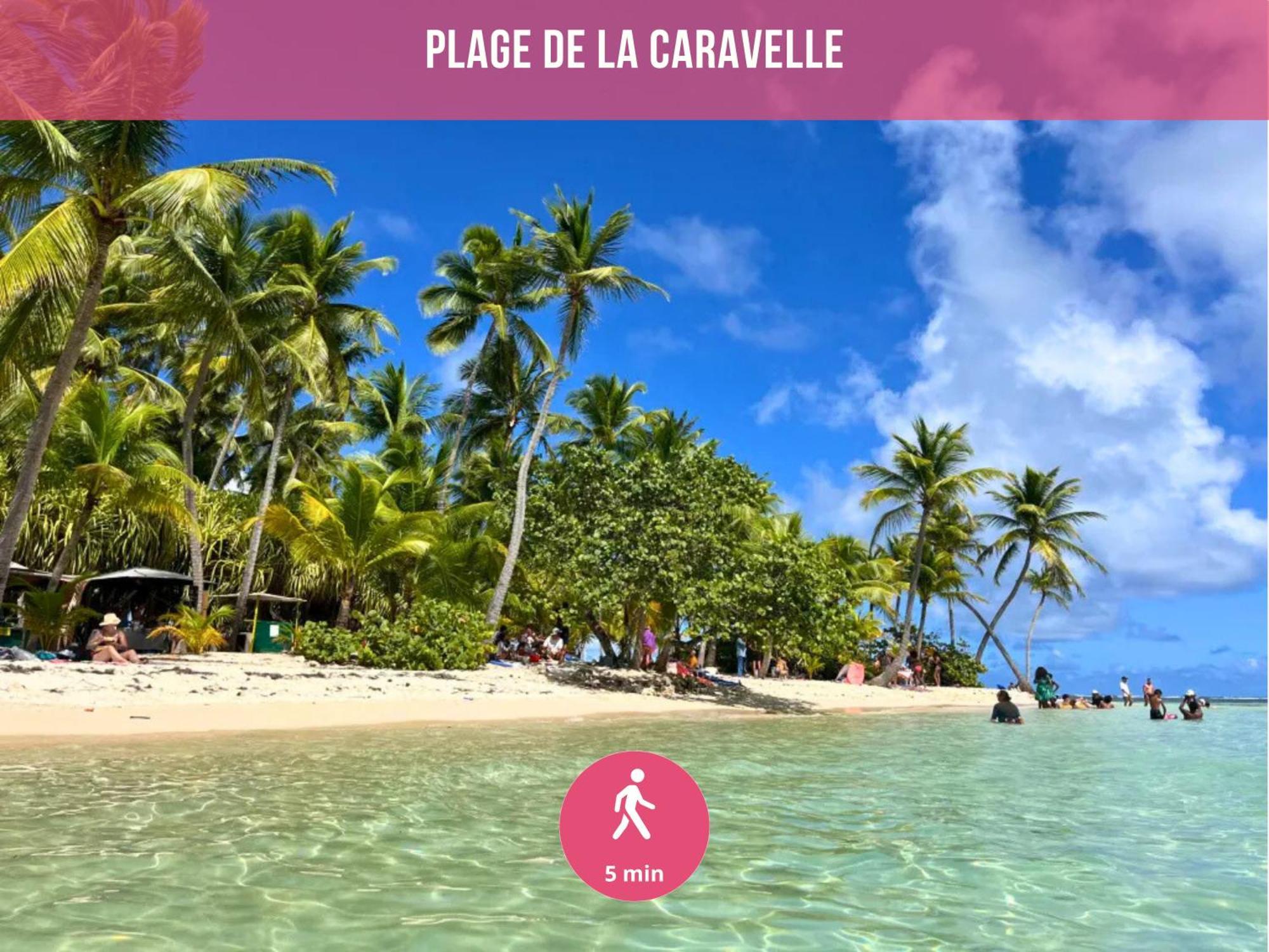 Le Sable Bleu - Evasion Tropicale A Sainte-Anne - Plage 5Min - Piscine - Parking - Logement Climatise - Vue Sur Les Palmiers - Parfait Pour Sejours En Famille Ou Entre Amis Exterior foto